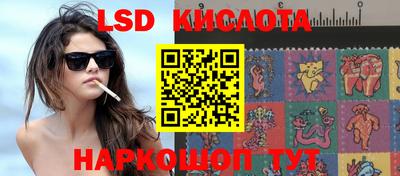 ПСИЛОЦИБИНОВЫЕ ГРИБЫ Шебекино