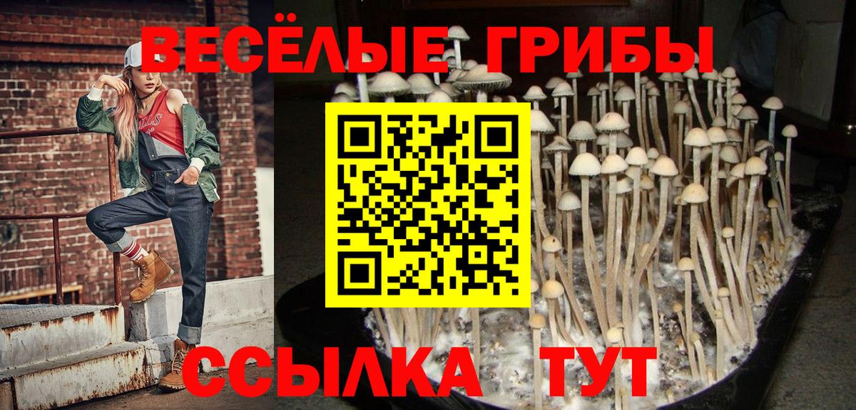 Псилоцибиновые грибы ЛСД Егорьевск